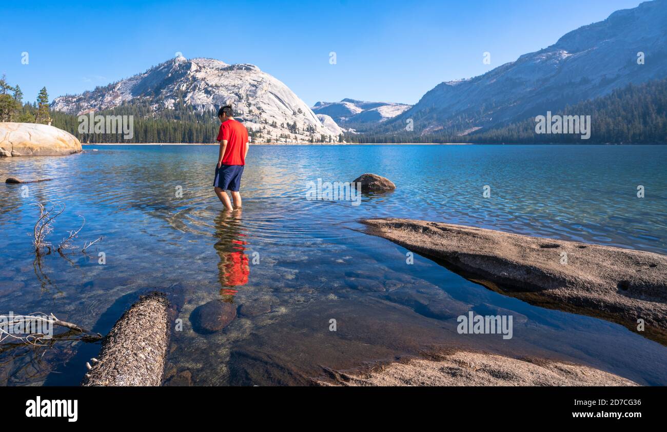 Yosemite Olmsted Point Tenaya Lake Stockfoto