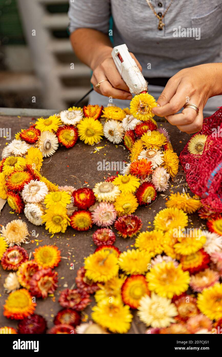 Machen Kranz Herbst bunte Strohblume Stockfoto