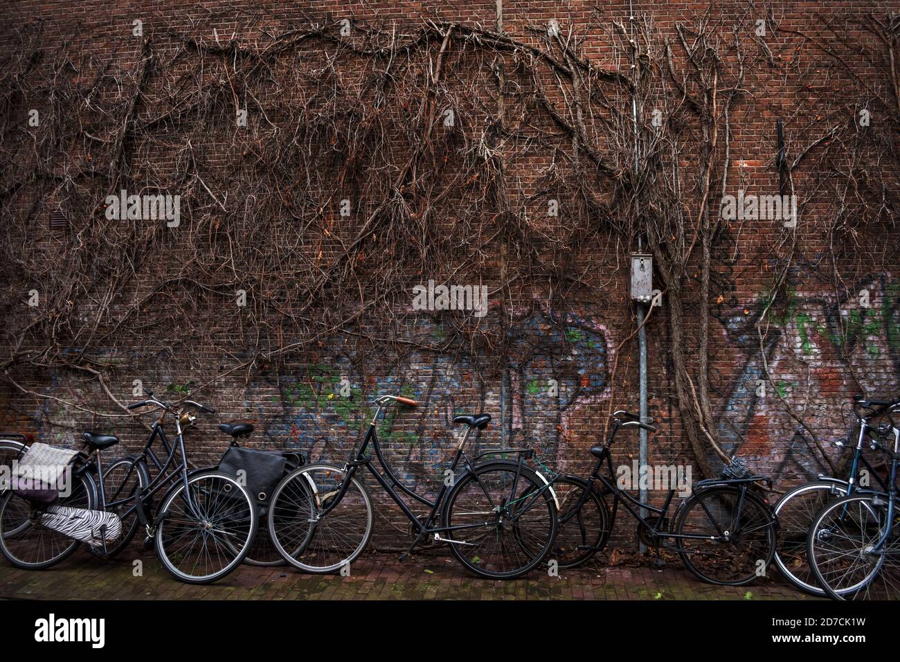 Bike Parken an der Wand des Parks. Viele Fahrräder auf dem Hintergrund der Herbstbäume in Amsterdam, Niederlande. Umweltfreundlicher Transport. Stockfoto