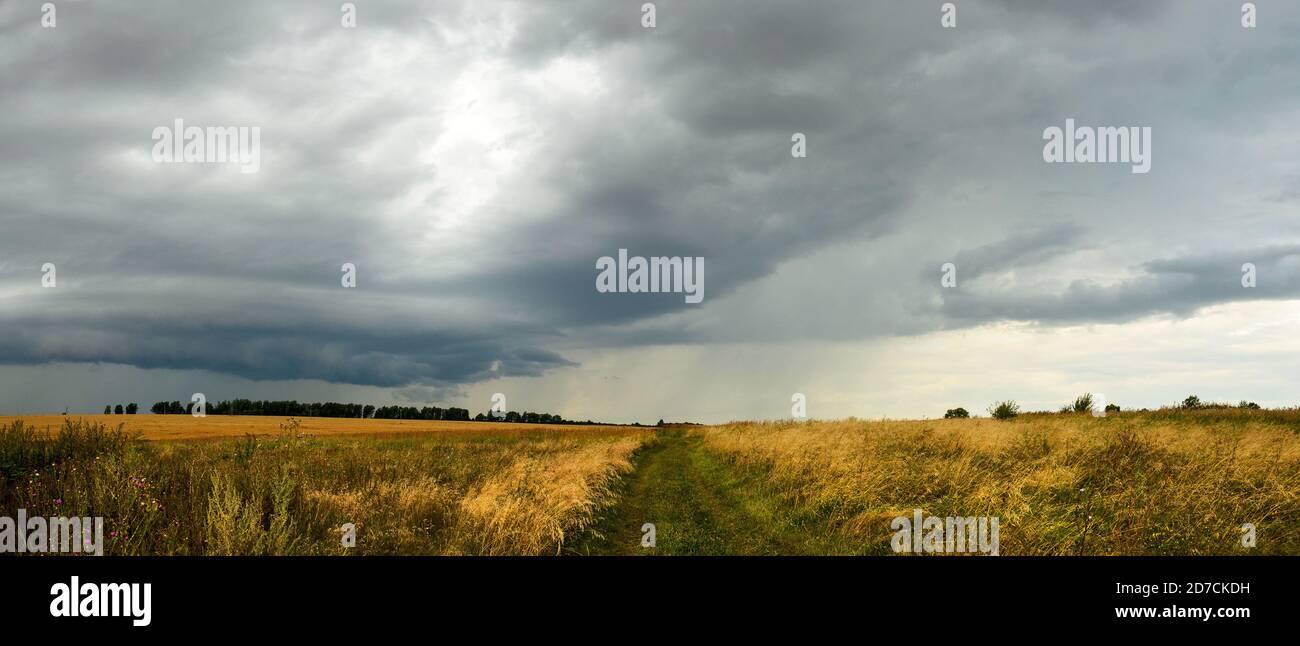 Bedrohliche Wolken im bewölkten Himmel über den reifen Weizenlandfeldern. Stockfoto