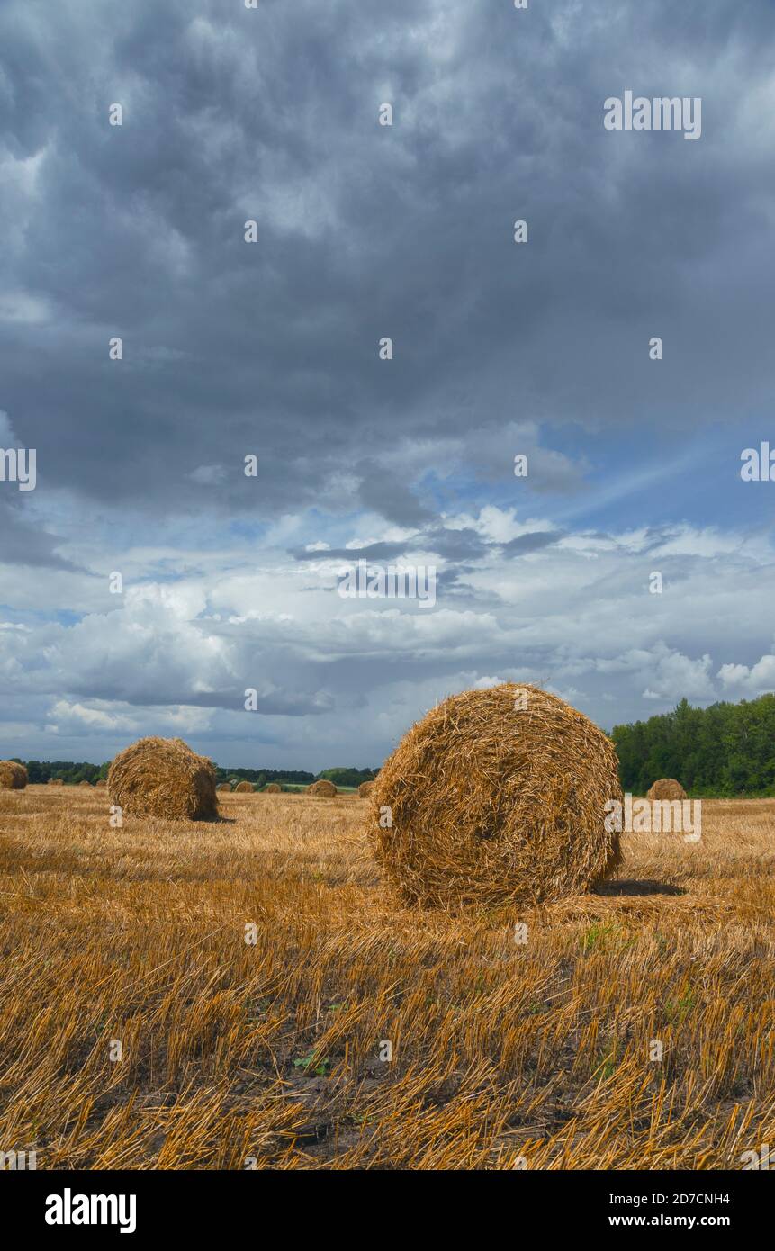Dunkle stürmische Wolken über dem Farmfeld mit Heuhaufen. Stockfoto