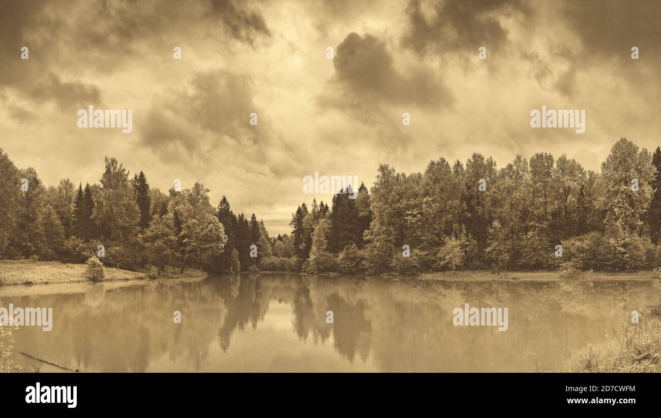Wolkiger Sommer monochrome Landschaft mit Waldteich während regnerischen Tag. Stockfoto