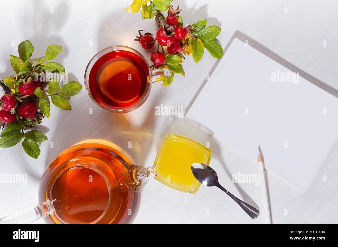 Gemütliche Herbst Teatime mit Rose Hip Tee in Teekanne mit Tasse, Hund Rosenzweig und leeres Skizzenbuch mit Schatten auf weichen hellen weißen Holz Tischansicht, c Stockfoto