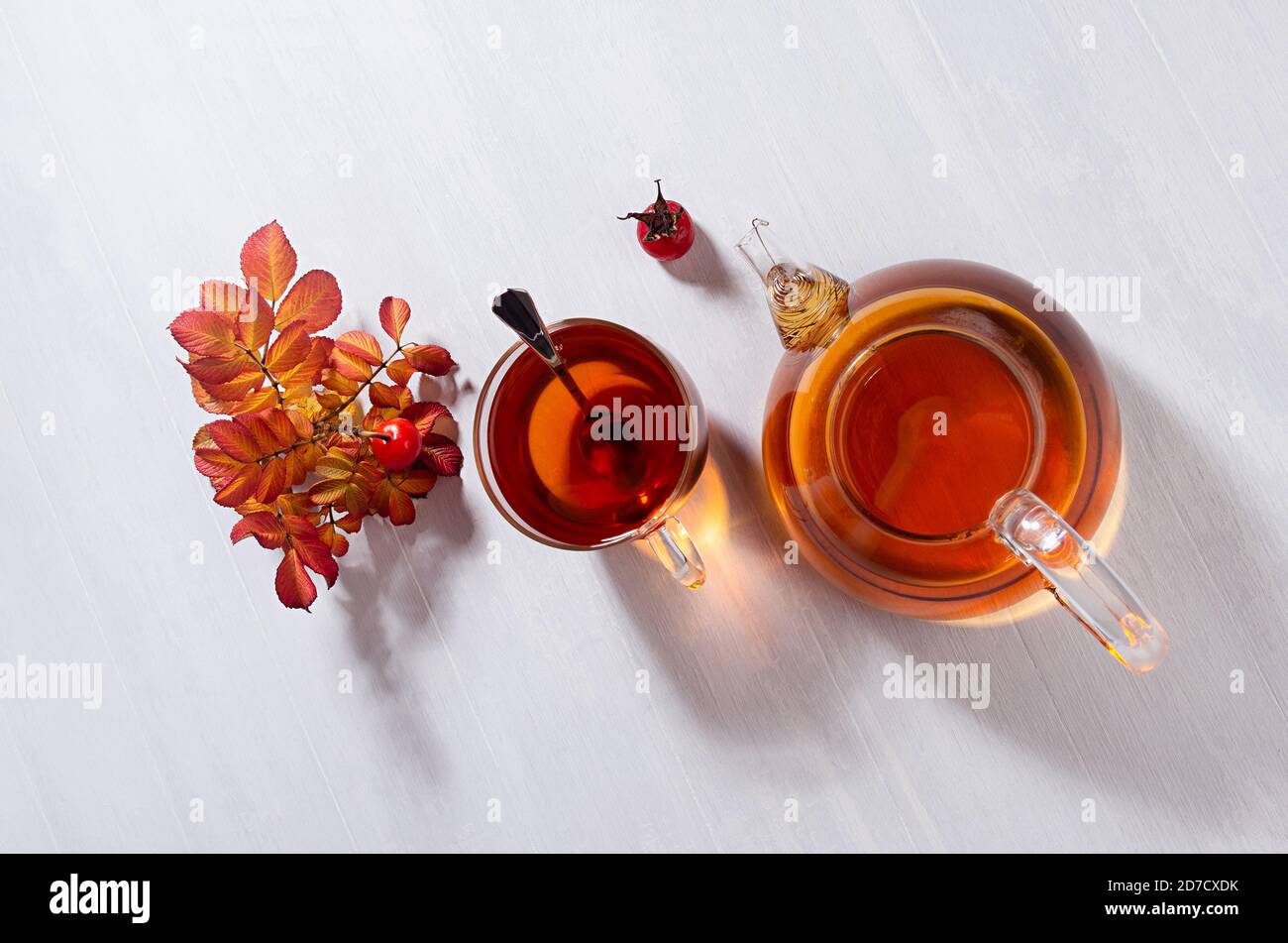 Gemütliche Herbststimmung mit Kräuterrose hipe Tee in durchsichtiger Teekanne mit Tasse, Orangen Blätter in Sonnenstrahlen auf weißem Holz Tischansicht. Stockfoto