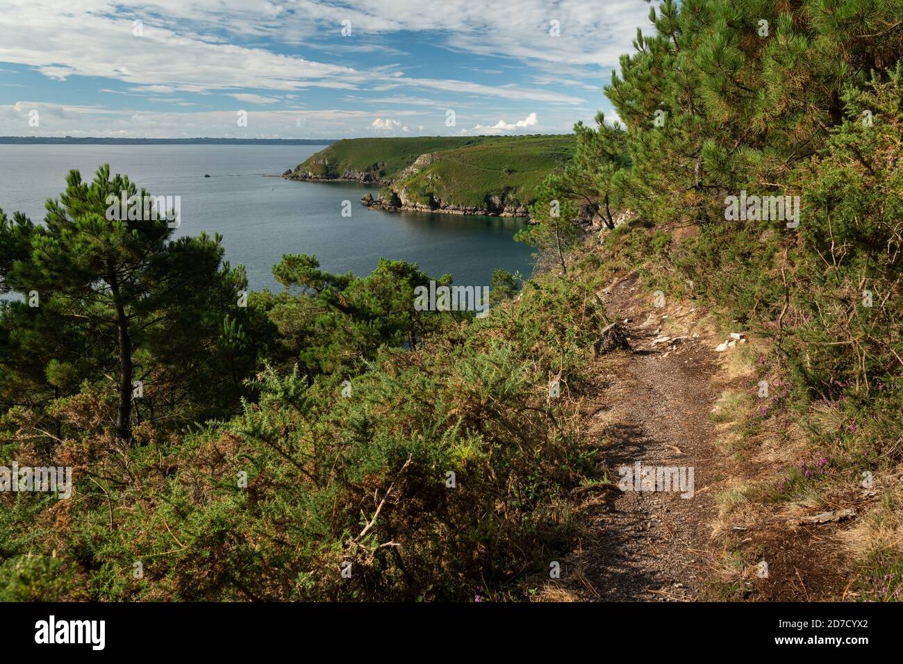 Küste in der Nähe von Cap de la Chevre (Crozon, Bretagne, Frankreich) an einem bewölkten Tag im Sommer Stockfoto