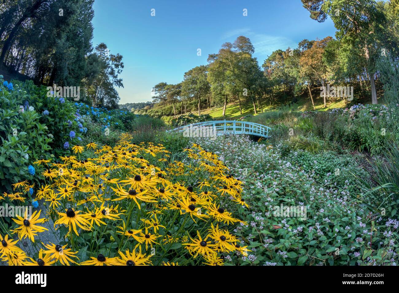 Trebah Garden; Spätsommer; Cornwall; Großbritannien Stockfoto