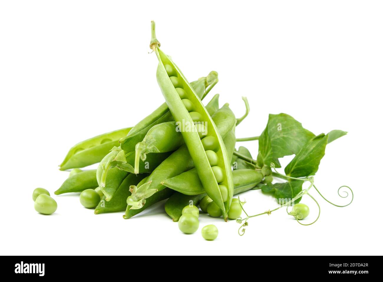 Früchte der grünen Erbsen auf weißem Hintergrund isoliert. Stockfoto