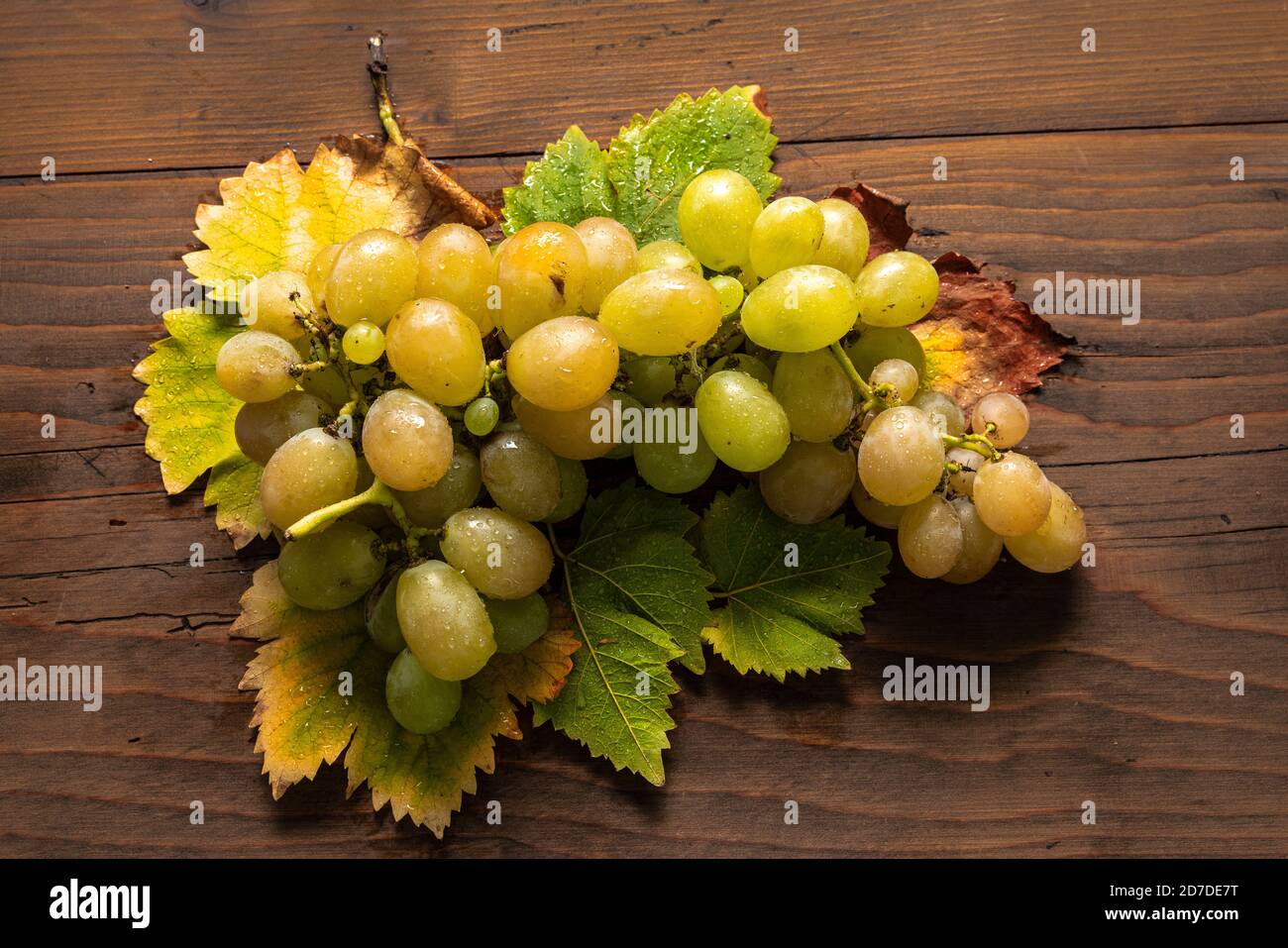 Eine Gruppe frischer grüner Trauben liegt auf Blättern, die auf einer Holzplatte angeordnet sind. Die herbstlichen Farben der Blätter stehen im Kontrast zur leuchtenden Traube. Stockfoto