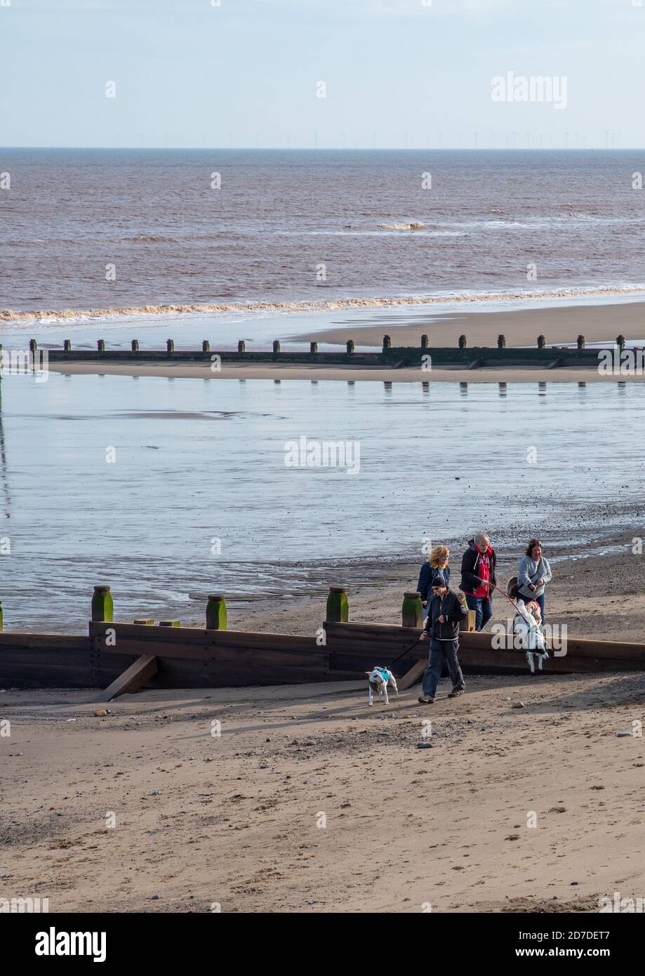 Withernsea, East Yorkshire, England, 20/10/2020 - Freunde zu Fuß mit ihren Hunden am Strand mit Pausenwasser. Stockfoto