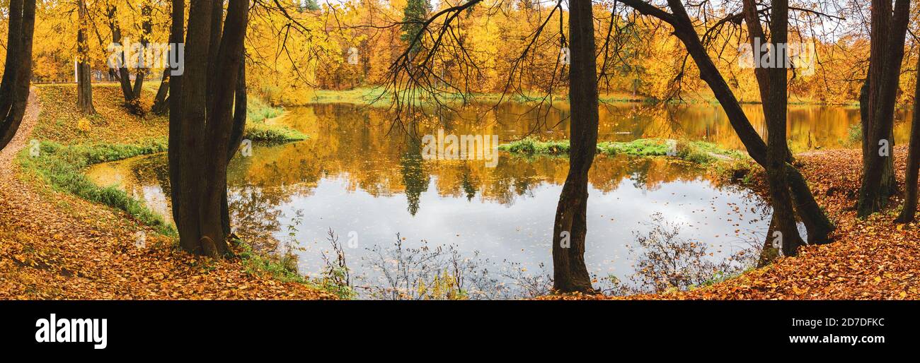 Schöne Szene mit Waldsee und Reflexion auf Wasseroberfläche. Stockfoto