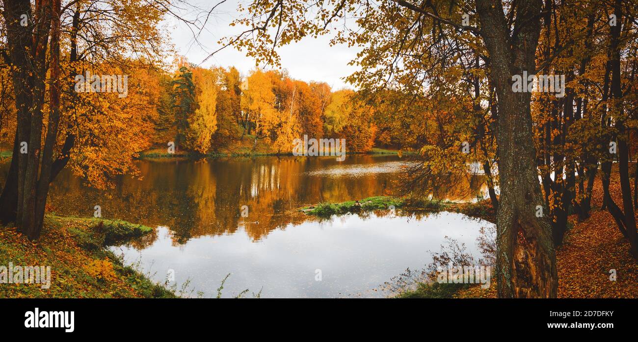 Schöne Szene mit Waldsee und Reflexion auf Wasseroberfläche. Stockfoto