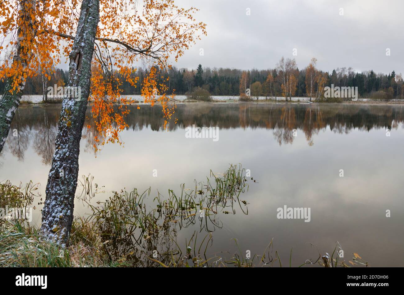 Wolkige Herbstlandschaft mit Bäumen am Ufer des Waldsees. Stockfoto