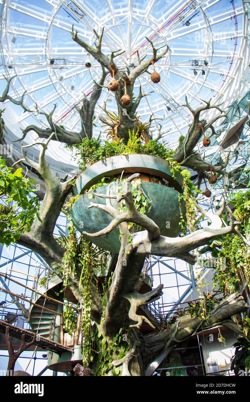 Bauminstallation im Green Planet Indoor Tropical Park.Dubai. VAE. In Innenräumen Stockfoto