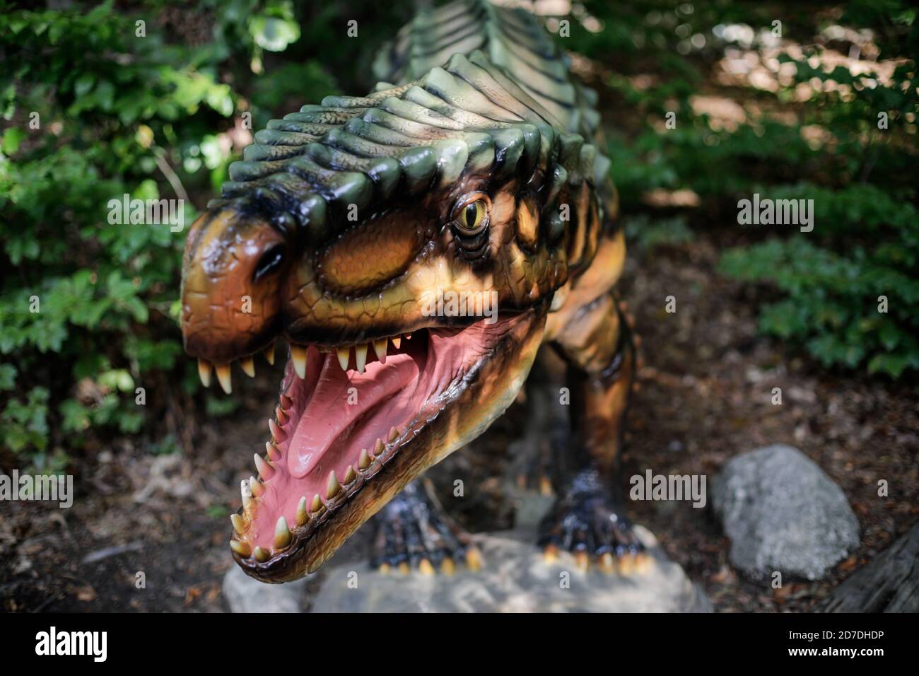 Rasnov, Rumänien - 3. Oktober 2020: Details mit einem Dinosaurier-Modell in einem Dino-Park im Freien in Rumänien. Stockfoto
