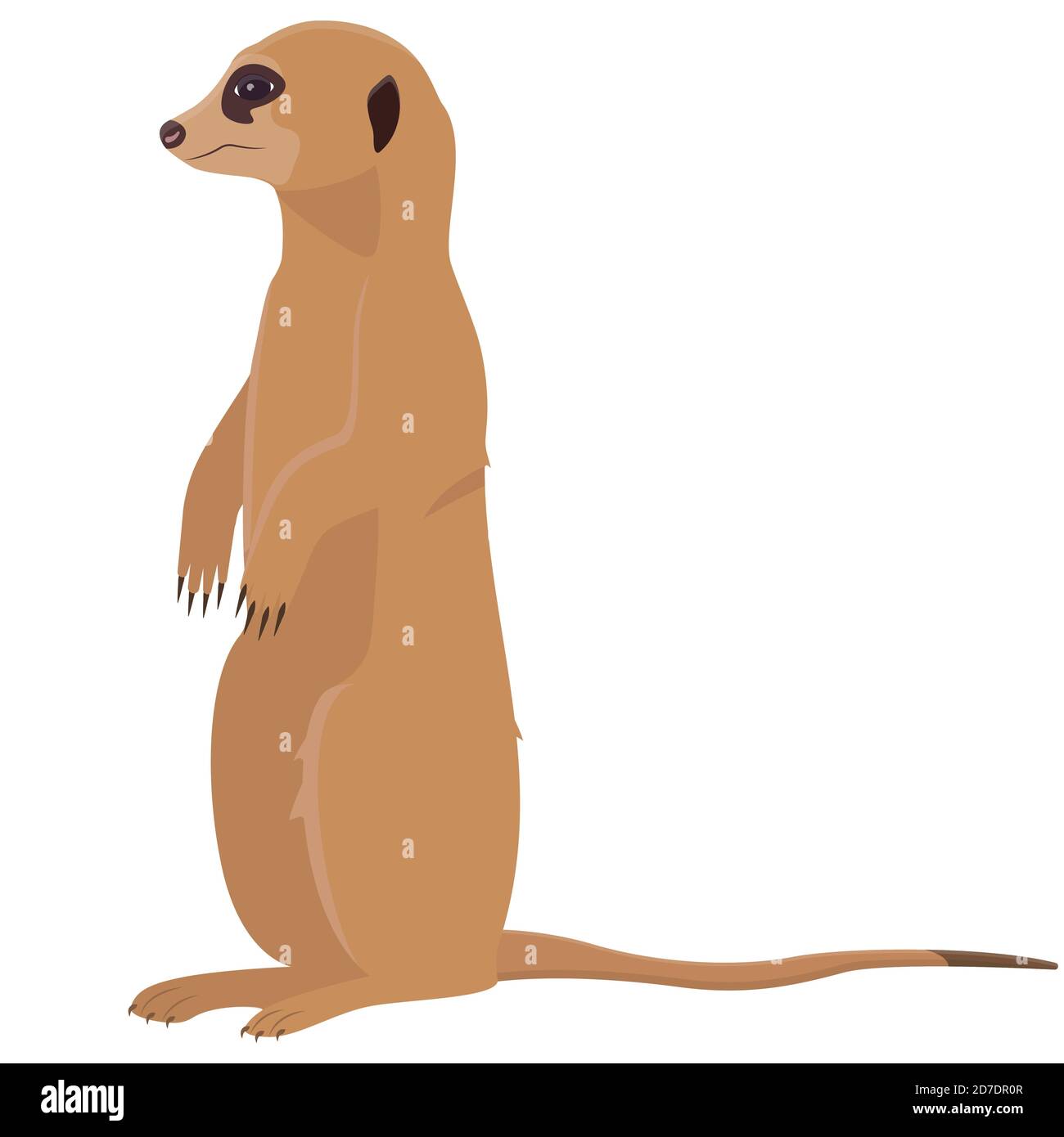 Sitzen niedlichen Erdmännchen. Afrikanisches Tier im Cartoon-Stil. Stock Vektor