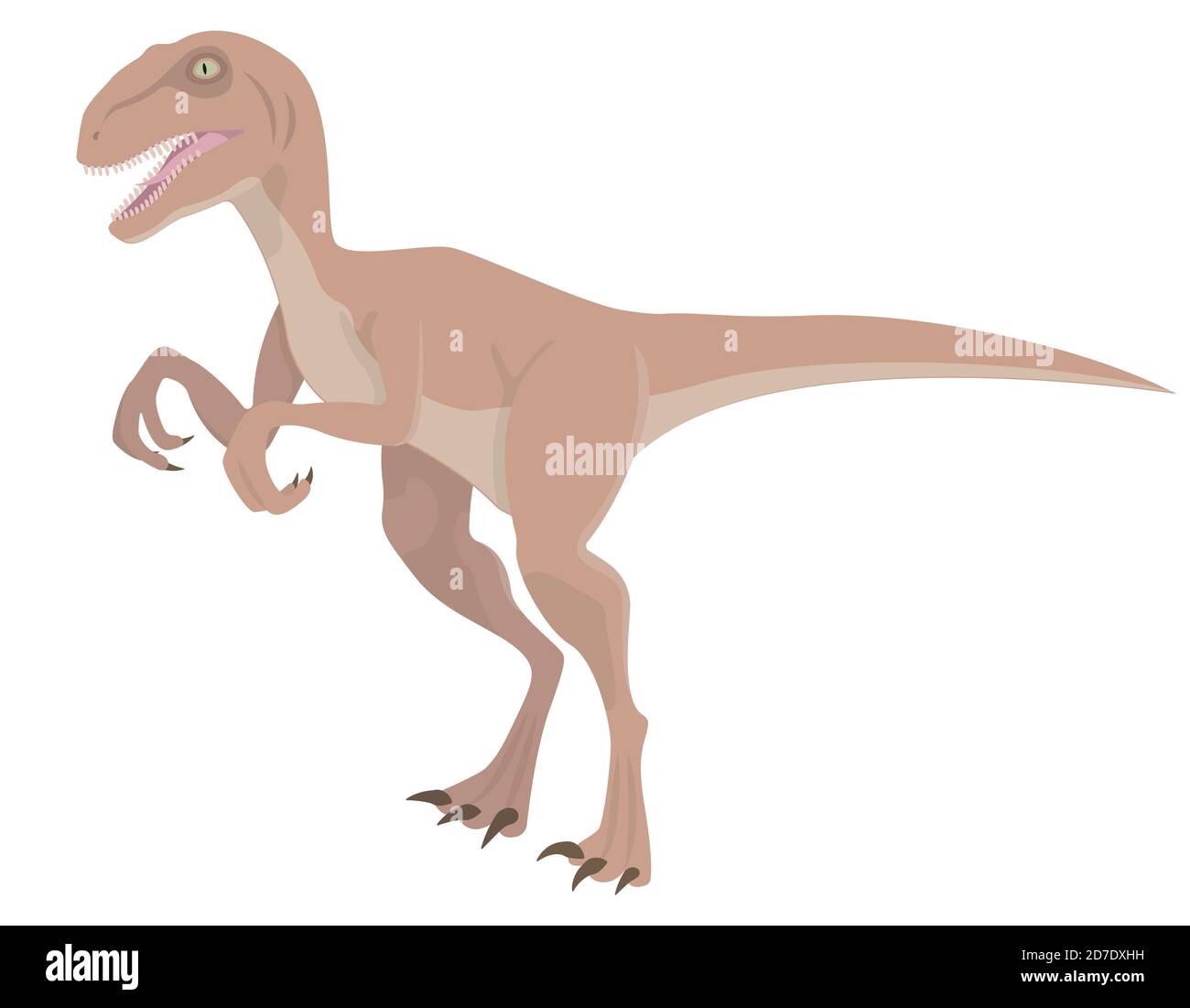 Velociraptor im Cartoon-Stil. Räuberischer Dinosaurier isoliert auf weißem Hintergrund. Stock Vektor