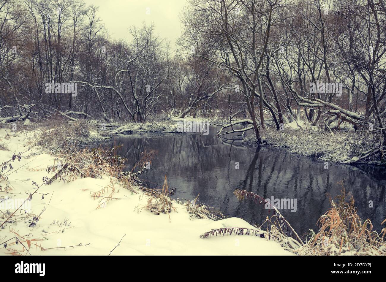 Winterlandschaft mit Schnee bedeckt, Bäume und Fluss Stockfoto