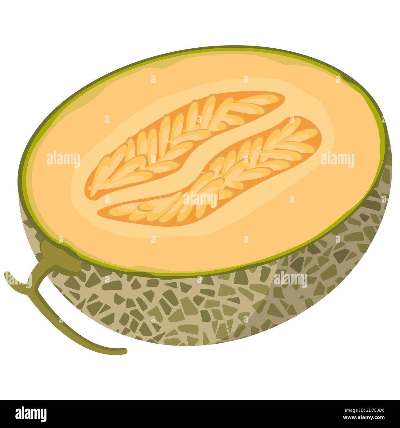 Halb Melone im Cartoon-Stil. Saftige Frucht isoliert auf weißem Hintergrund. Stock Vektor