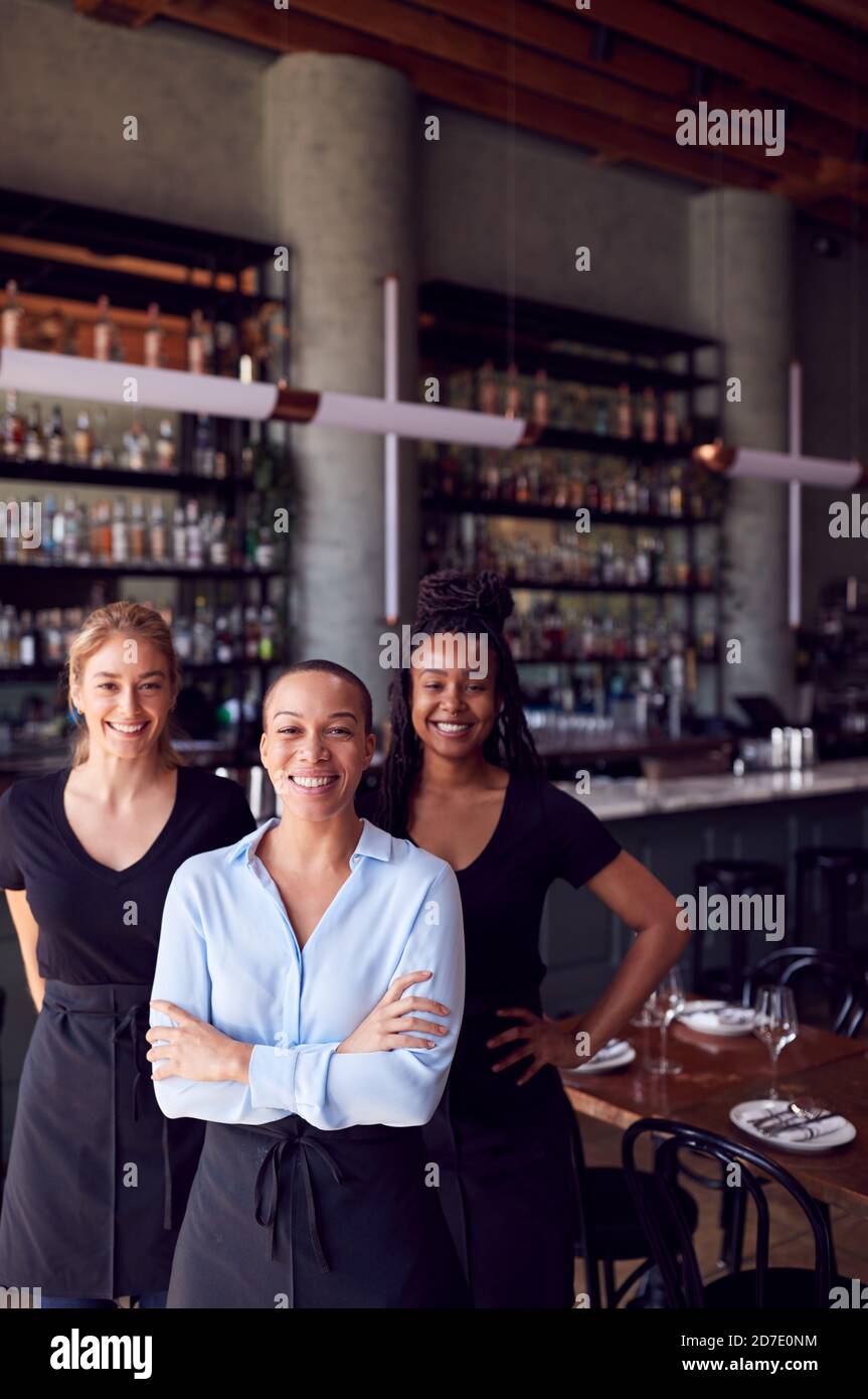 Portrait Der Besitzerin Des Restaurants Bar Mit Team Von Wartungspersonal Steht An Der Theke Stockfoto