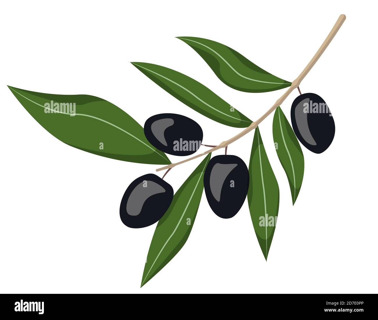Schwarze Oliven auf Zweig. Illustration im Cartoon-Stil isoliert auf weißem Hintergrund. Stock Vektor