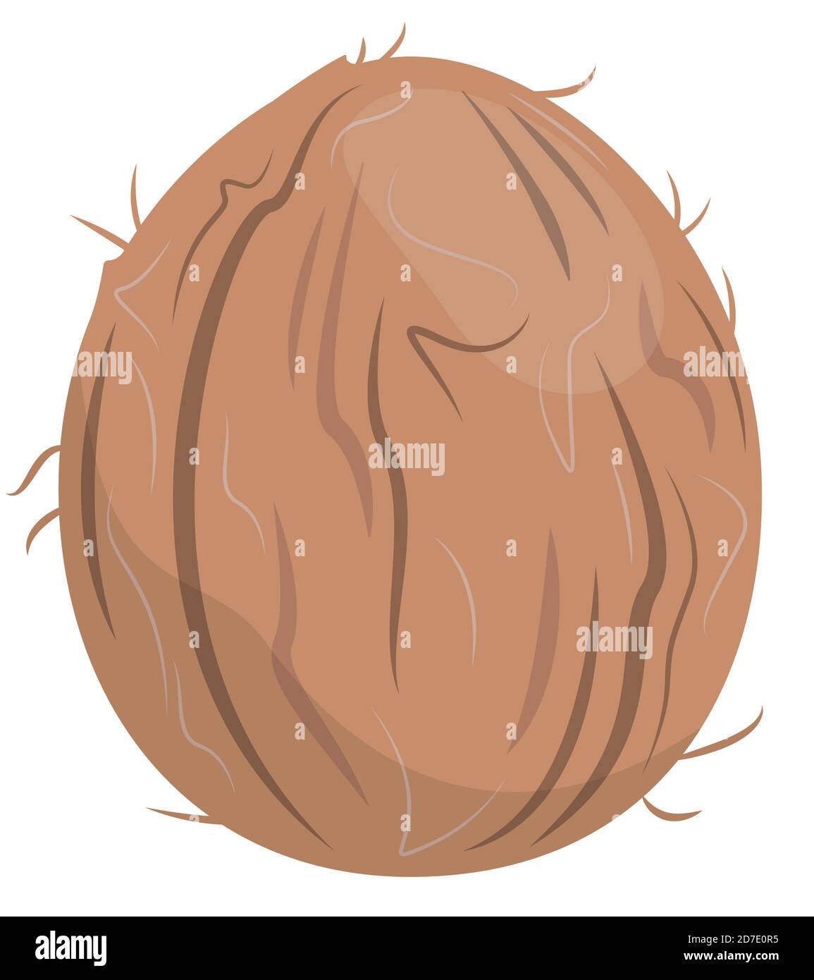 Kokosnuss im Cartoon-Stil. Saftige Frucht isoliert auf weißem Hintergrund. Stock Vektor