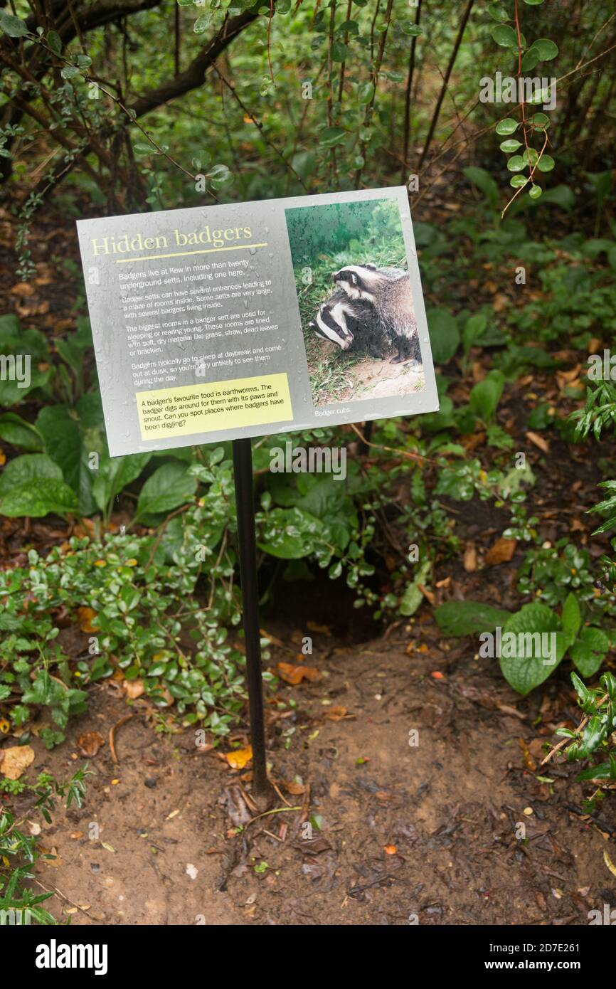 Eintritt zu einem Dachsaufsatz in Kew Gardens, London, Großbritannien Stockfoto