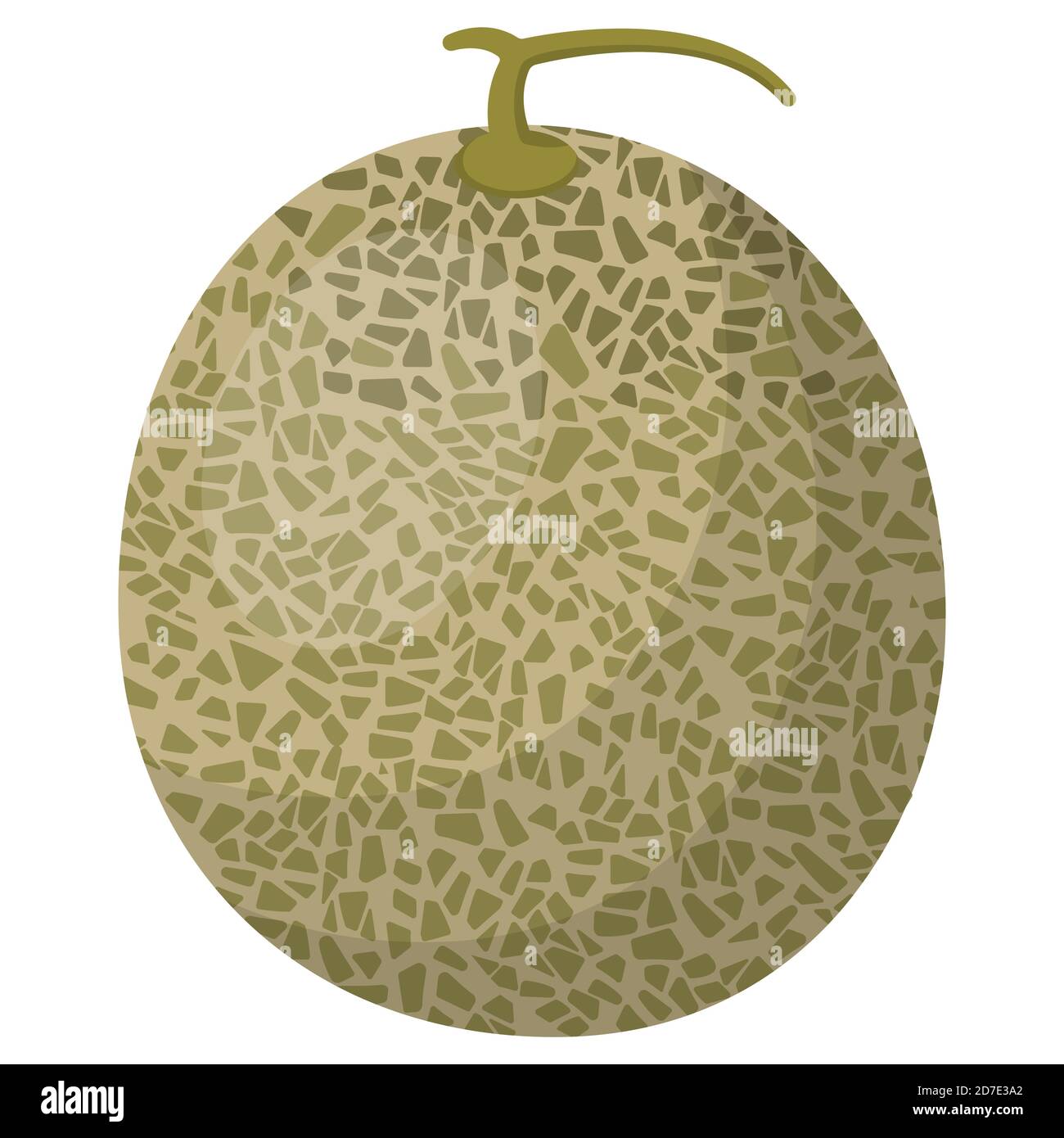Melone im Cartoon-Stil. Saftige Frucht isoliert auf weißem Hintergrund. Stock Vektor