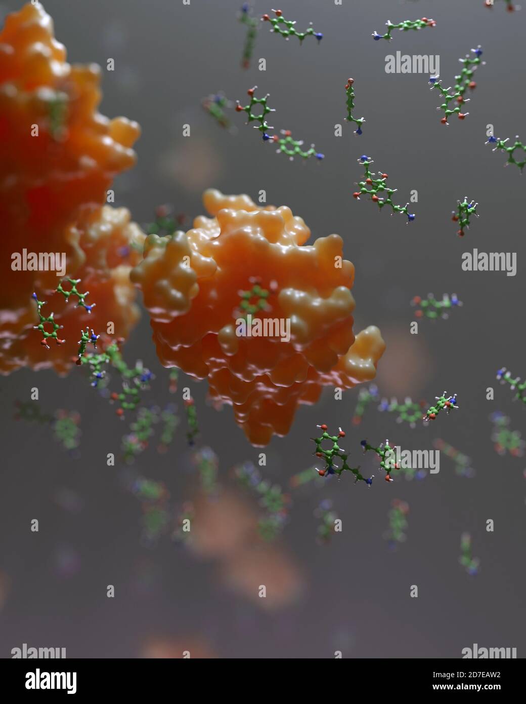 Dopamin ist ein Hormon und ein Neurotransmitter, der mehrere wichtige Rollen im Gehirn und Körper spielt. Eine Komponente von belohnungsmotiviertem Verhalten. Stockfoto