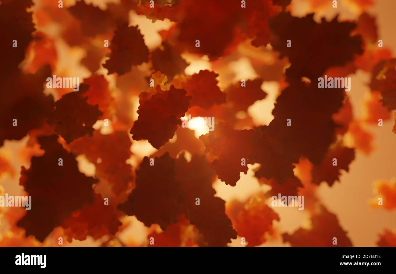 Hämoglobin ist das eisenhaltige Sauerstoff-Transport-Metalloprotein in den roten Blutkörperchen. Es transportiert Sauerstoff aus der Lunge zum Rest des Körpers. Stockfoto