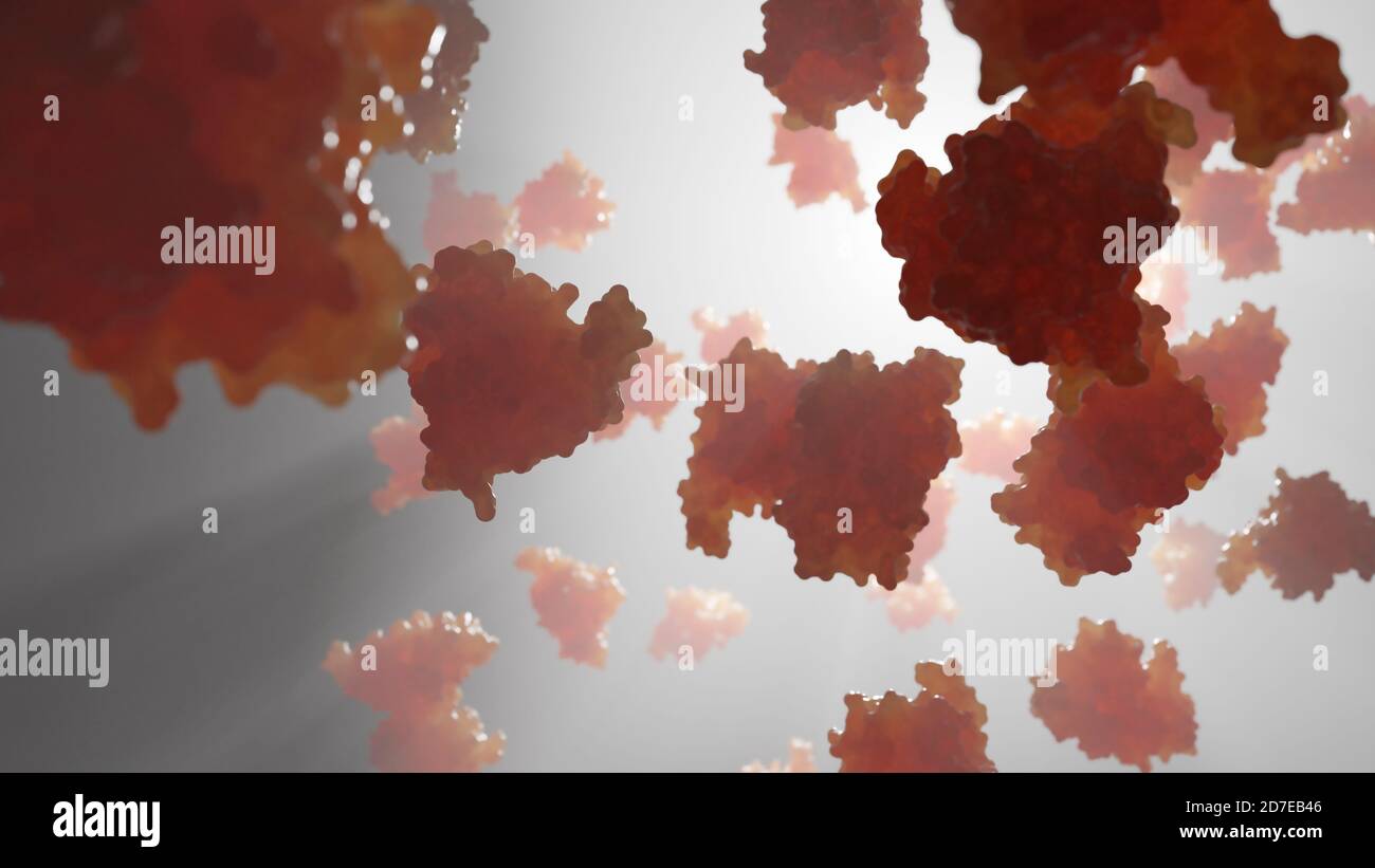 Hämoglobin ist das eisenhaltige Sauerstoff-Transport-Metalloprotein in den roten Blutkörperchen. Es transportiert Sauerstoff aus der Lunge zum Rest des Körpers. Stockfoto