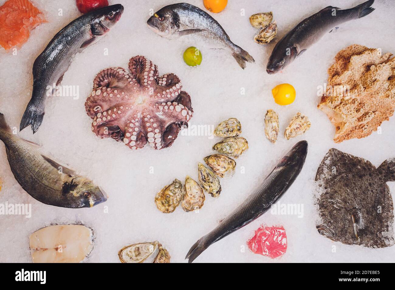 Auswahl an Fisch und Meeresfrüchten auf dem Eisbett. Stockfoto