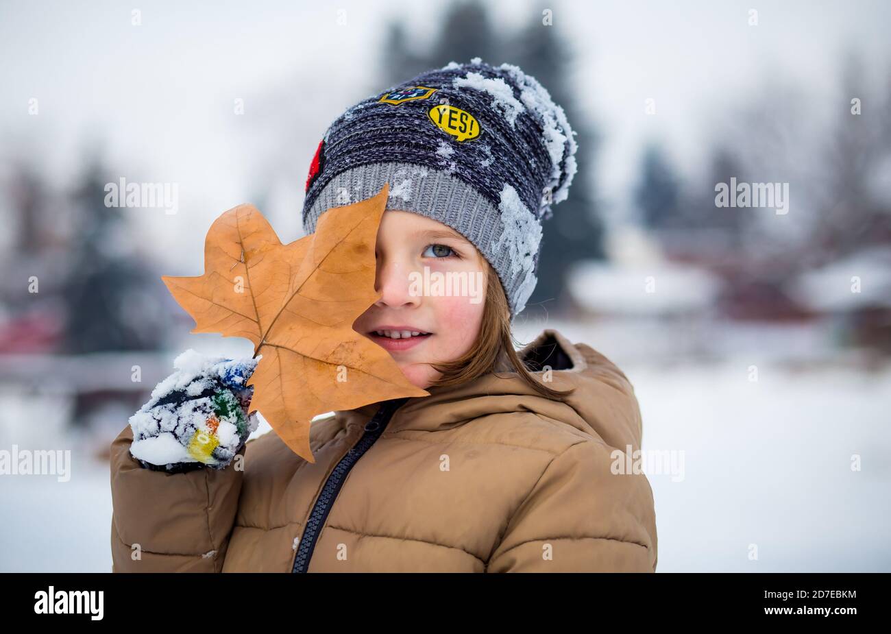 Kleiner Junge, der Blatt vor sein Gesicht hält. Schnee auf seinem Hut. Übergang Herbst Winter Stockfoto