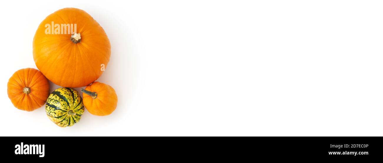 Overhead Flat Lay Autumn Banner Bestehend Aus Kürbissen Auf Weiß Hintergrund Stockfoto