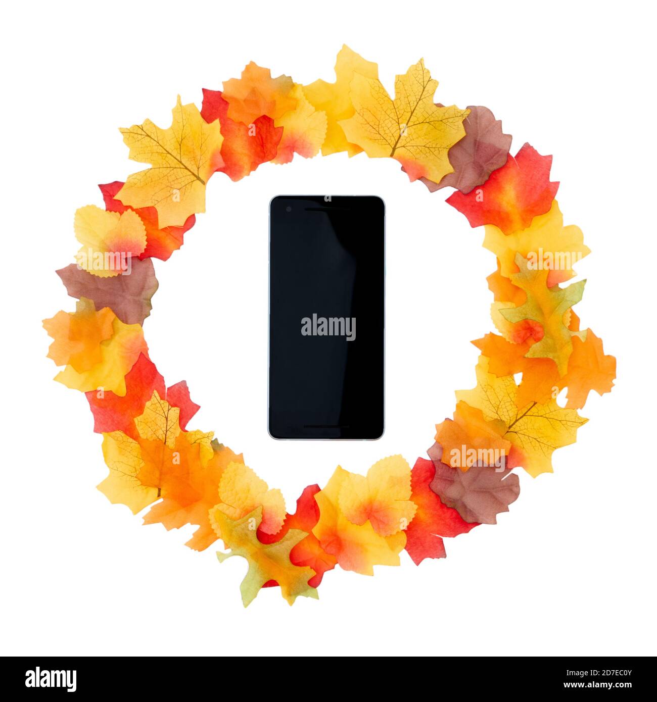 Herbst Stillleben von Blättern und Tannenzapfen angeordnet EIN Kreis Um Mobiltelefon Auf Weißem Hintergrund Stockfoto