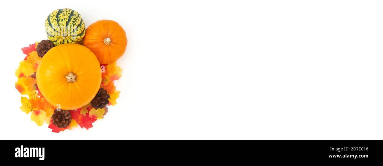 Overhead Flat Lay Autumn Banner Bestehend Aus Kürbissen Mit Blättern Und Tannenzapfen Auf Weißem Hintergrund Stockfoto