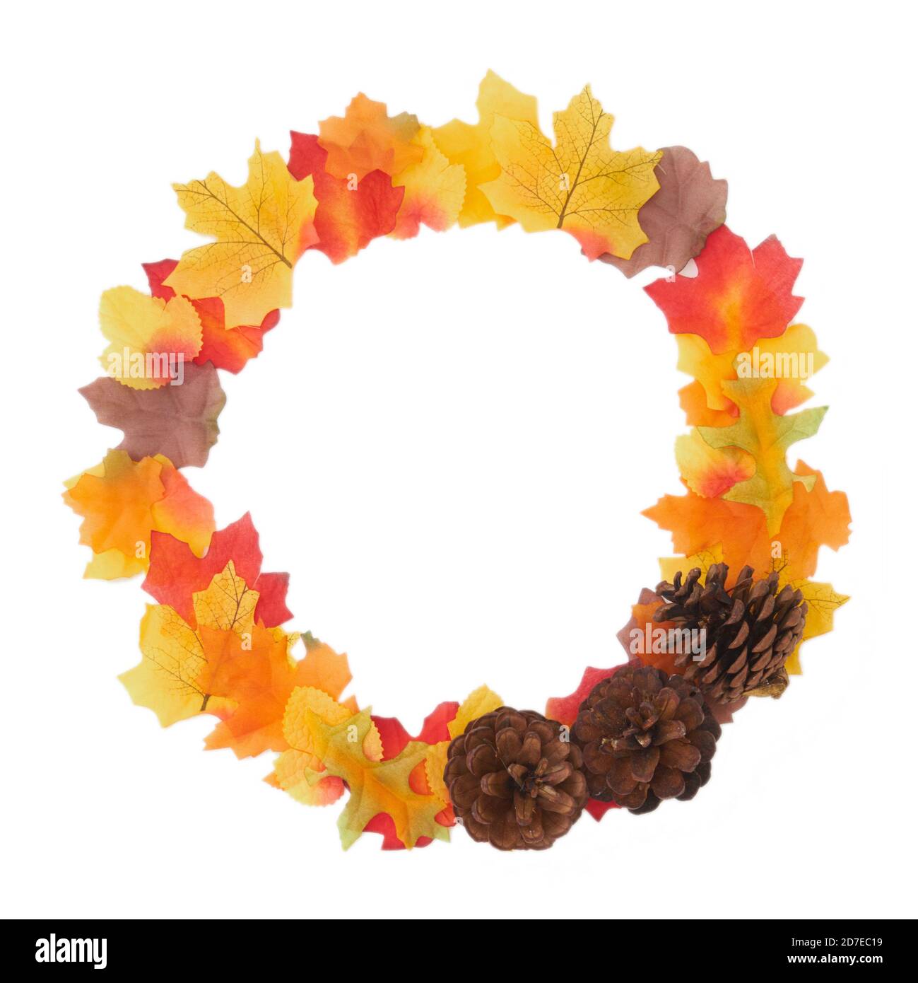 Overhead Flat Lay Autumn Still Life Komponierte Blätter Und Kiefer Kegel in EINEM Kreis auf weißem Hintergrund Stockfoto