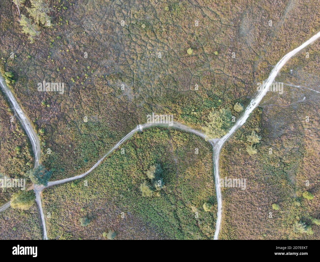 Luftaufnahme von direkt über gewundenen Pfaden durch Heide Stockfoto