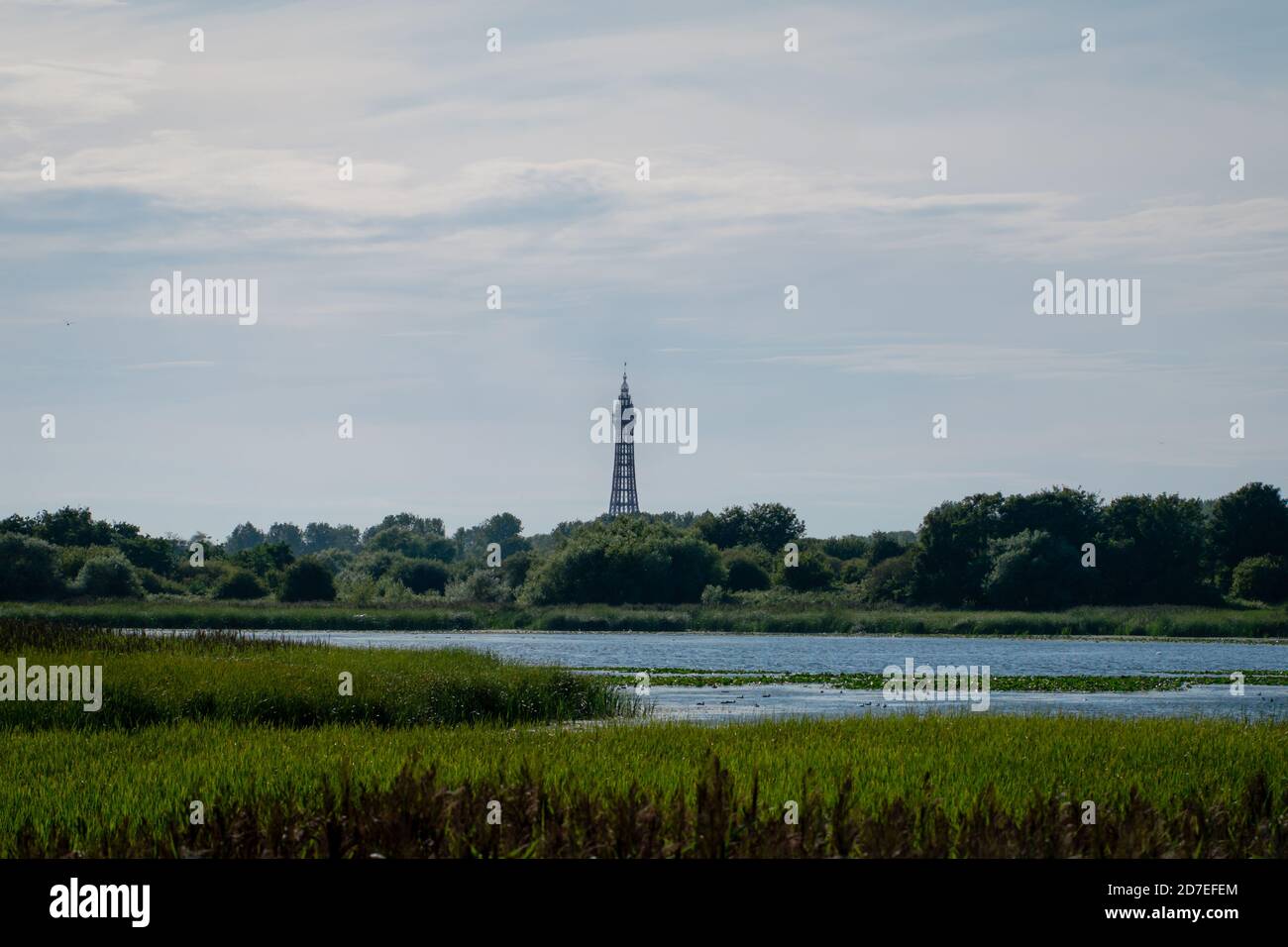 Die Landschaft des Marton Mere Local Nature Reserve in Blackpool zeigt den See und den entfernten Turm Stockfoto