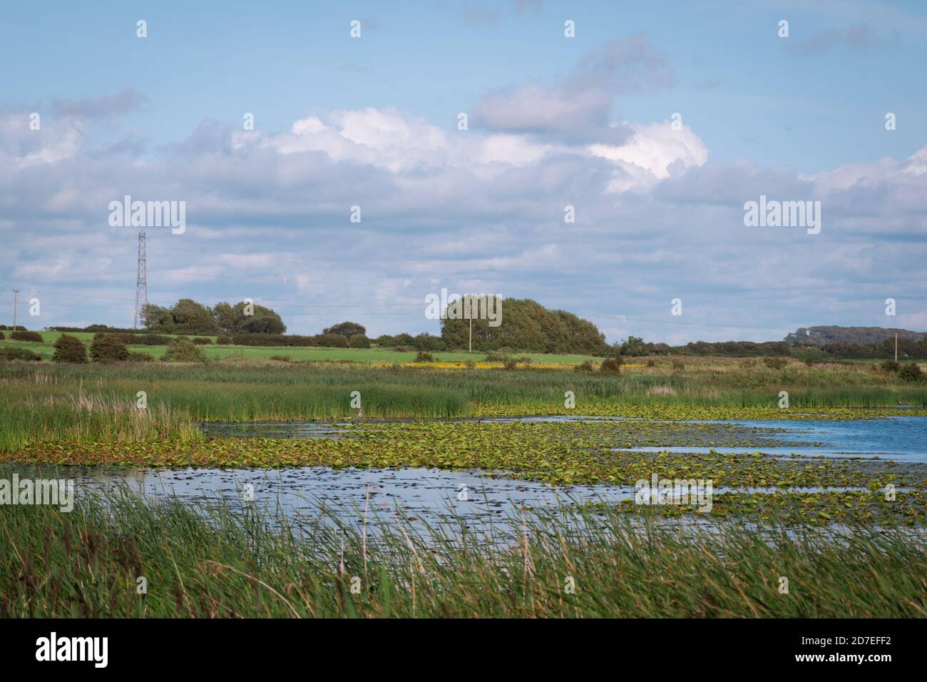 Die Landschaft des Marton Mere Local Nature Reserve in Blackpool zeigt den See, Schilfbetten und Wildtiere Stockfoto