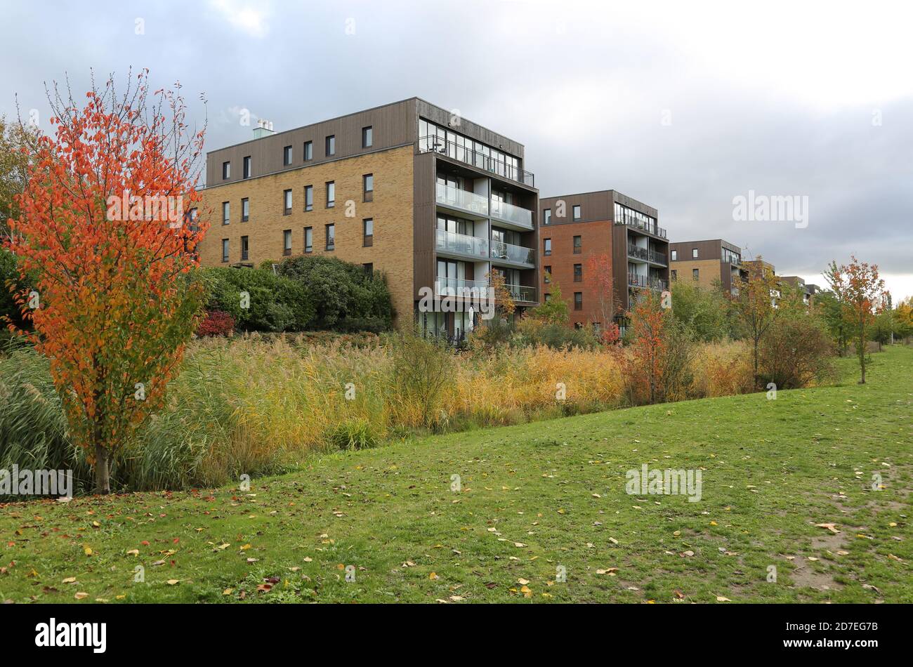 Neue Wohnblocks mit Blick auf den Sutcliffe Park, Teil von Kidbrooke Village, einem riesigen neuen Wohngebiet im Londoner Stadtteil Greenwich, Großbritannien. Stockfoto