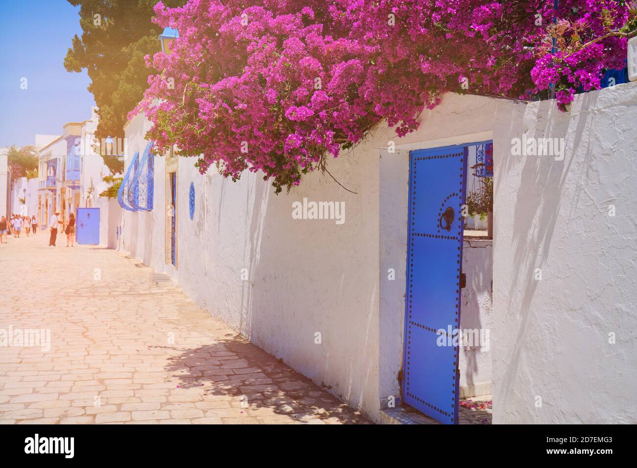 Blumen in Sidi Bou sagte über den Zaun des Hauses, Tunesien - Juni 2019 Stockfoto