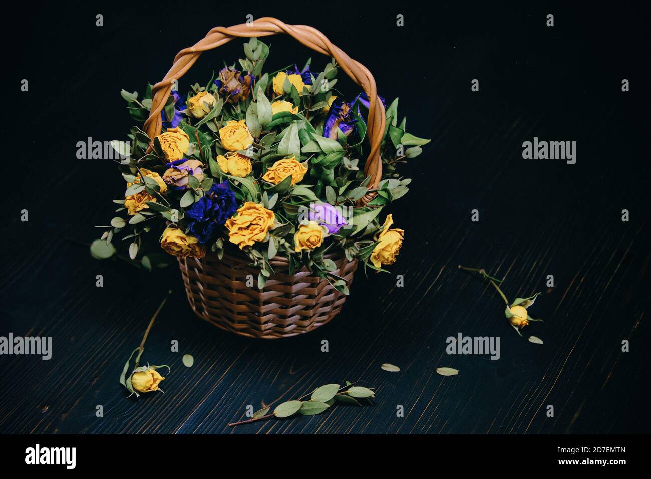 Verwelkte Rosen mit gefallenen Blättern auf einem schwarzen Holzhintergrund. Weidenkorb mit trockenen gelben und blauen Blüten. Herbstzusammensetzung von Rosen. Wunderschön Stockfoto