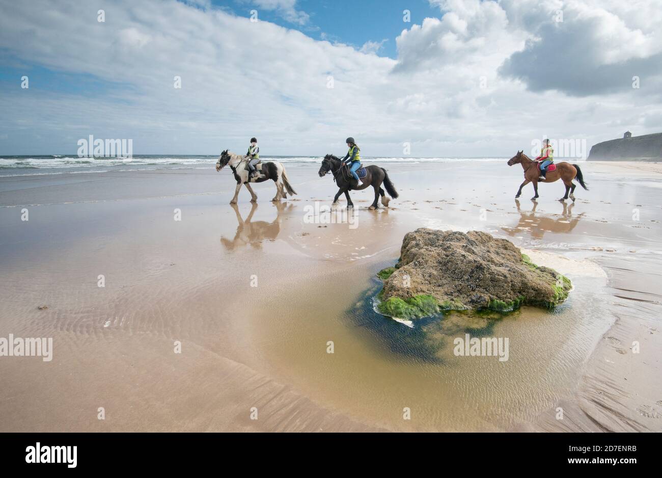 Junge Erwachsene Frauen reiten auf Pferden über Benone Beach entlang der Küste von Limavady, County Londonderry, Nordirland Stockfoto