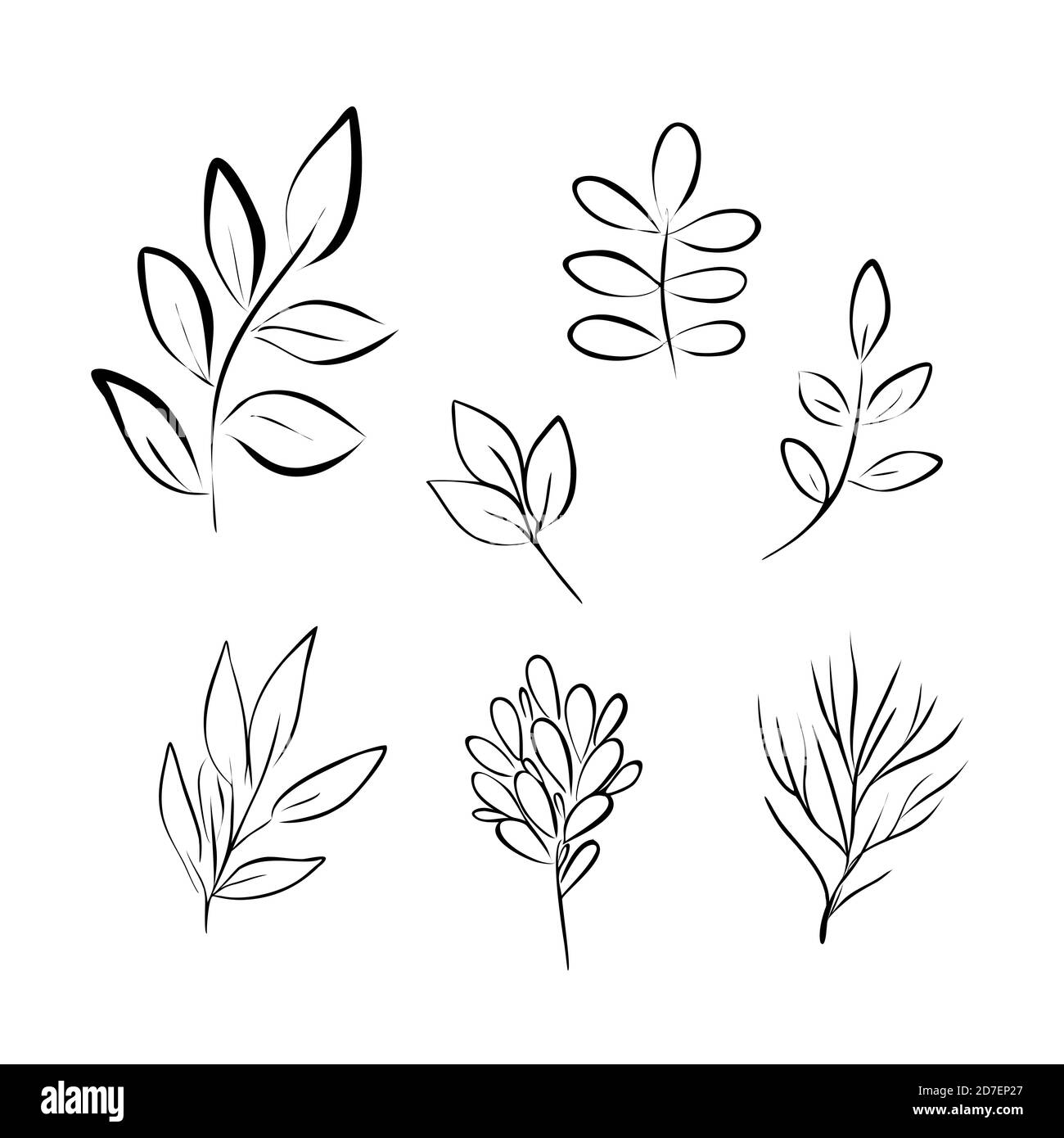 Blätter einfache Kontur Vektor minimalistischen Konzept Illustration, dünne Linie Hand gezeichnet floral set, Elemente für Design Stock Vektor
