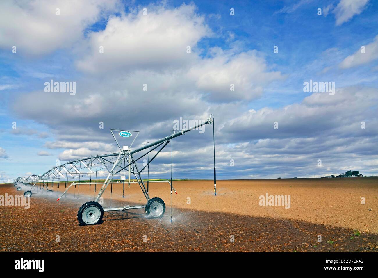 Ein großes, bewegliches Bewässerungssystem schleicht sich durch ein Feld mit winterlicher Weizenbewässerung in der Nähe von Culver, Oregon. Stockfoto