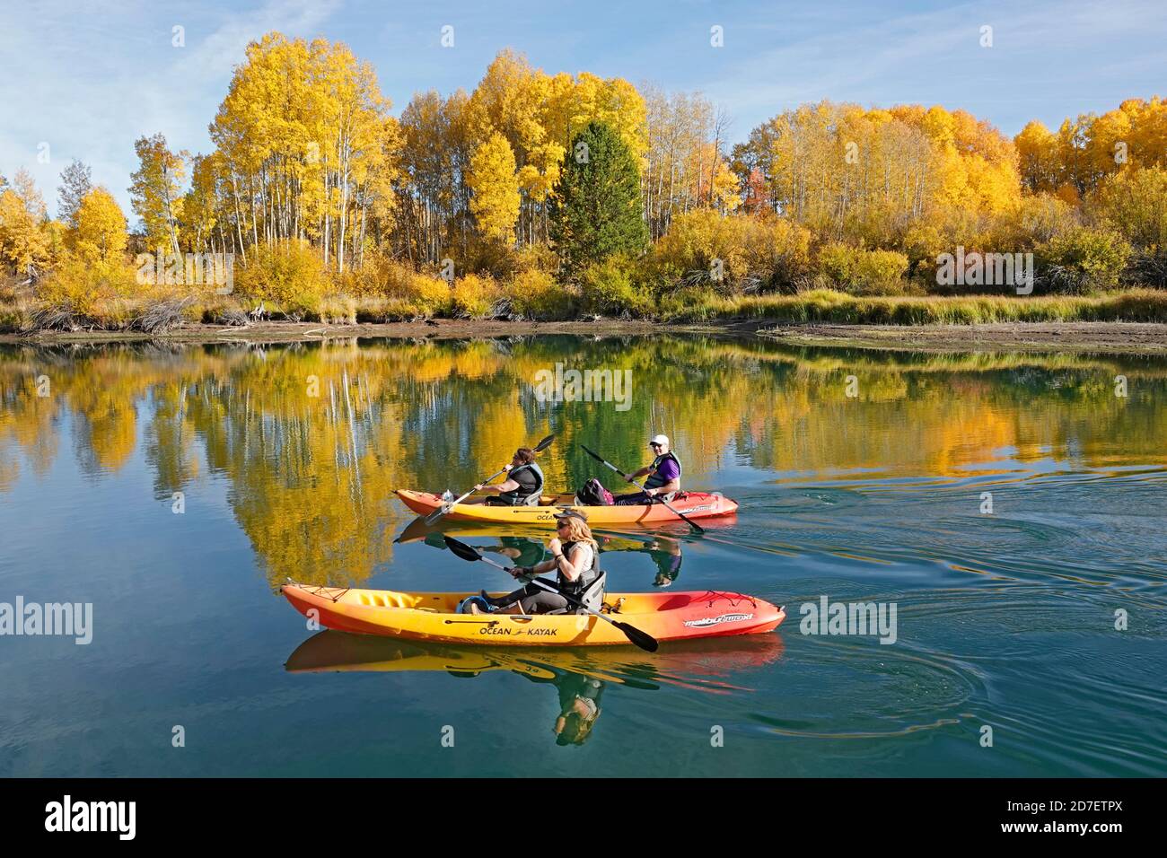 Aspen und Weidensträucher verwandeln sich im Oktober entlang des Deschutes River im Zentrum von Oregon bei Bend von Grün zu Gold. Dieser Abschnitt des Flusses ist popul Stockfoto