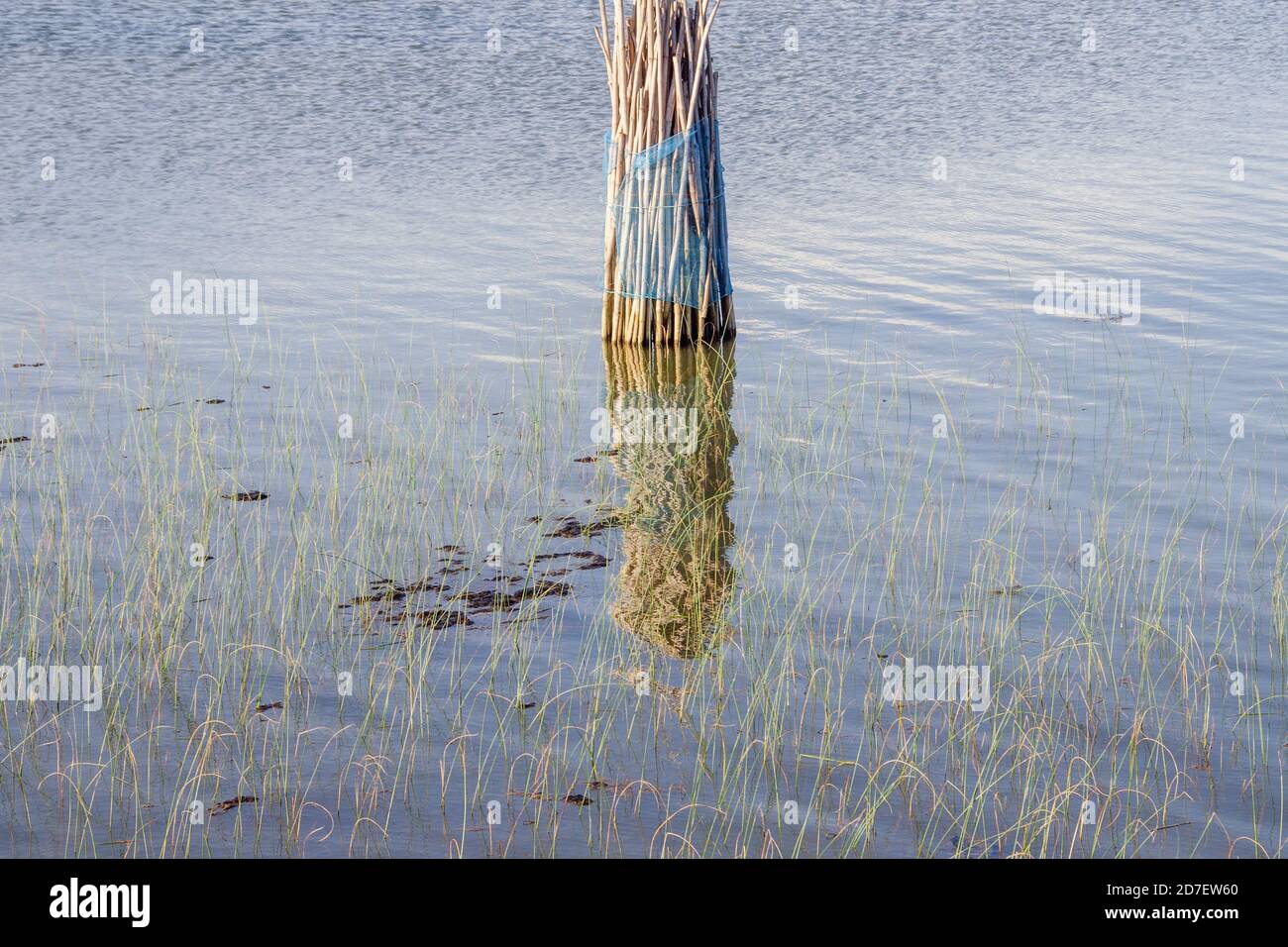Bündel von Angelstöcken und Reflexion abstrakte Fotografie Stockfoto