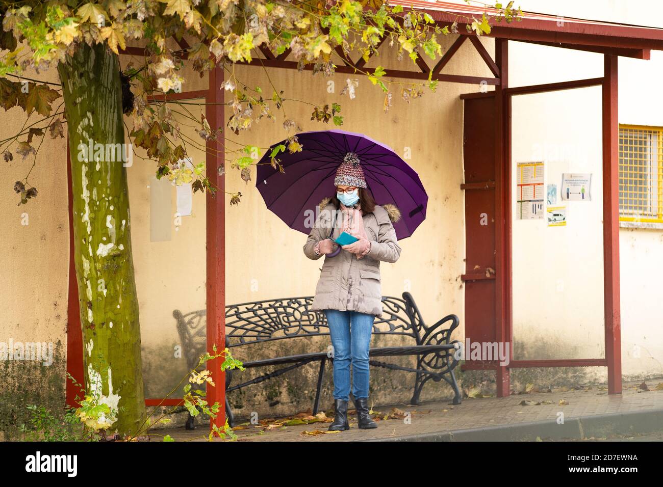 Frau mit Regenschirm an der Bushaltestelle und Blick auf das Handy Stockfoto