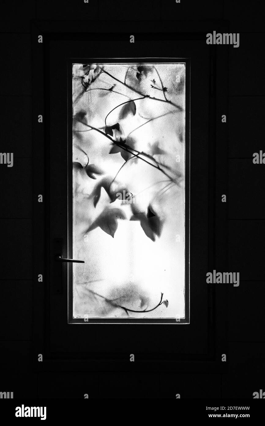 Schwarzweiß-Fenster Stockfoto