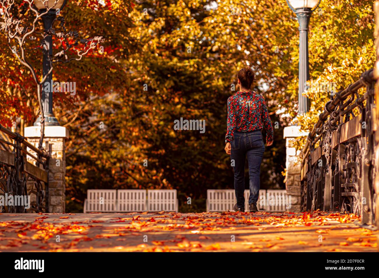 Eine junge kaukasische Frau mit Blumenhemd und Jeans geht allein in einem Stadtpark. Es ist eine wunderschöne Herbstszene mit bunten Blättern, die darauf gefallen sind Stockfoto